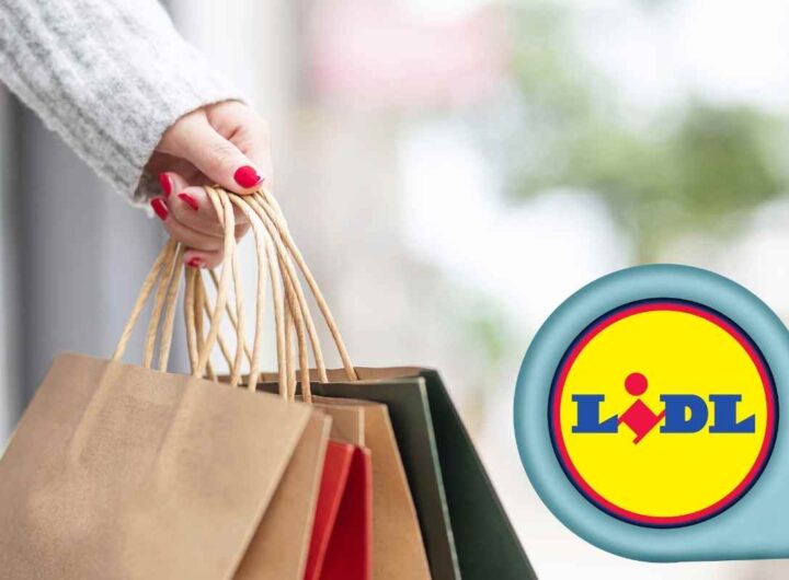 Lidl avvera il sogno di tutti gli utenti: lo trovi solo per pochi giorni