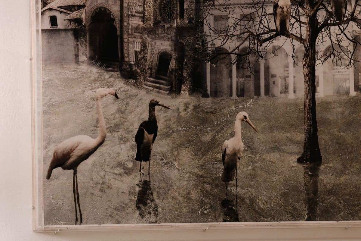 Hasselblad Teleconverter 