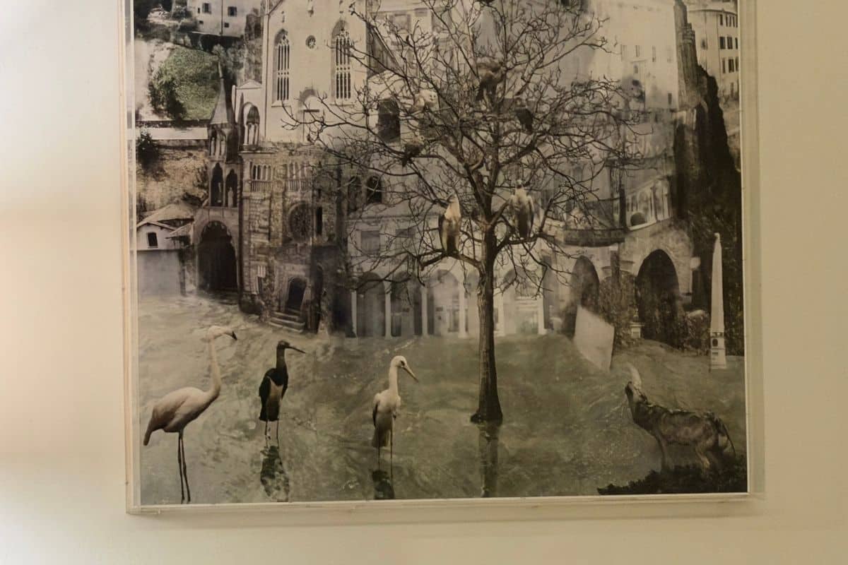 Hasselblad Teleconverter per OPPO Find X9 Pro