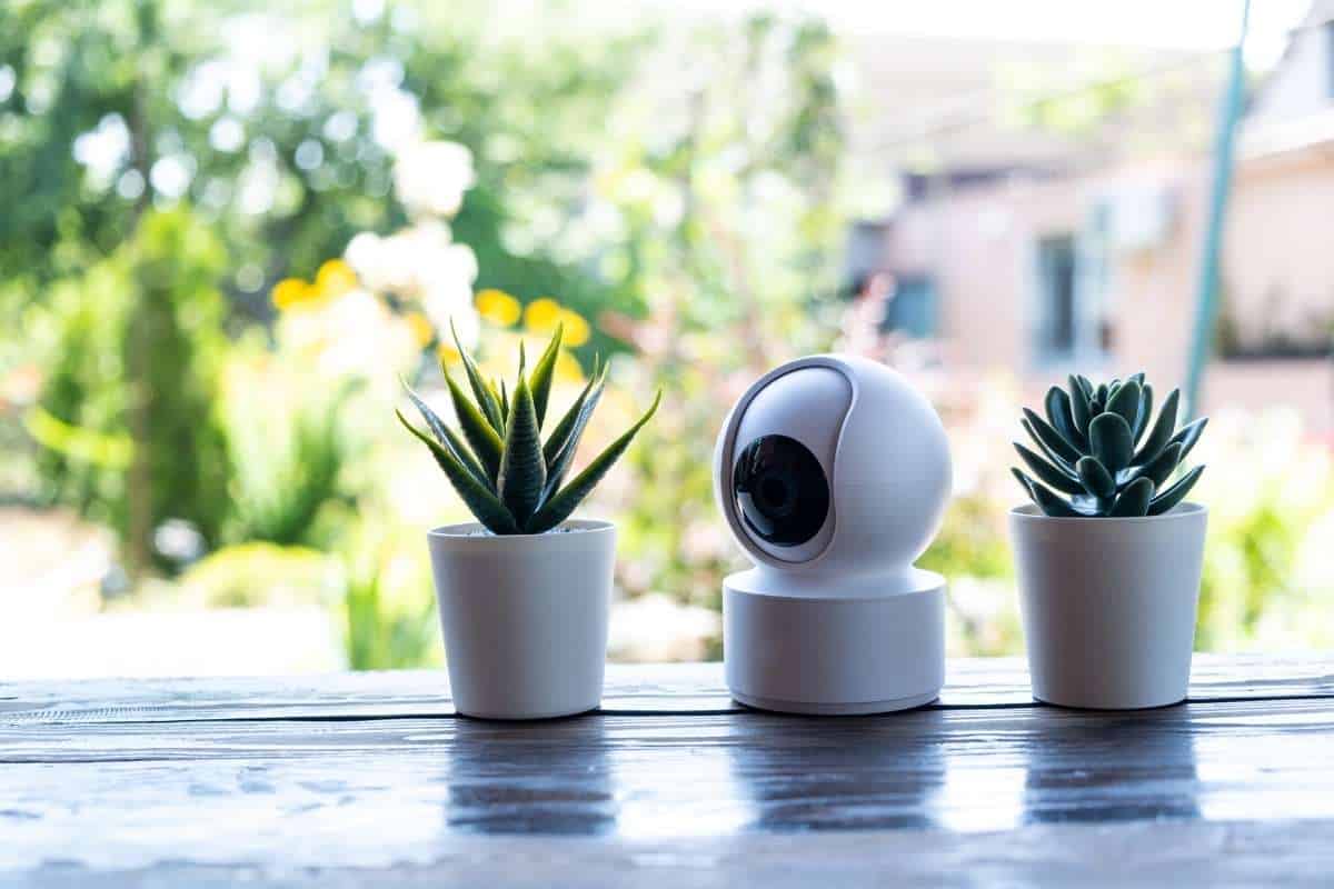 Come proteggere l'elettronica all'esterno dall'inverno (e salvarla da freddo e umidità)