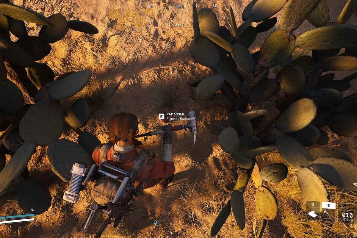 Guida ARC Raiders: dove trovare i fichi d'india per addestrare Conchiglio