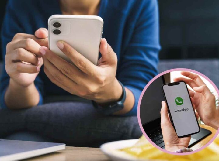 Se controlli in questa cartella del tuo telefono ci trovi chat