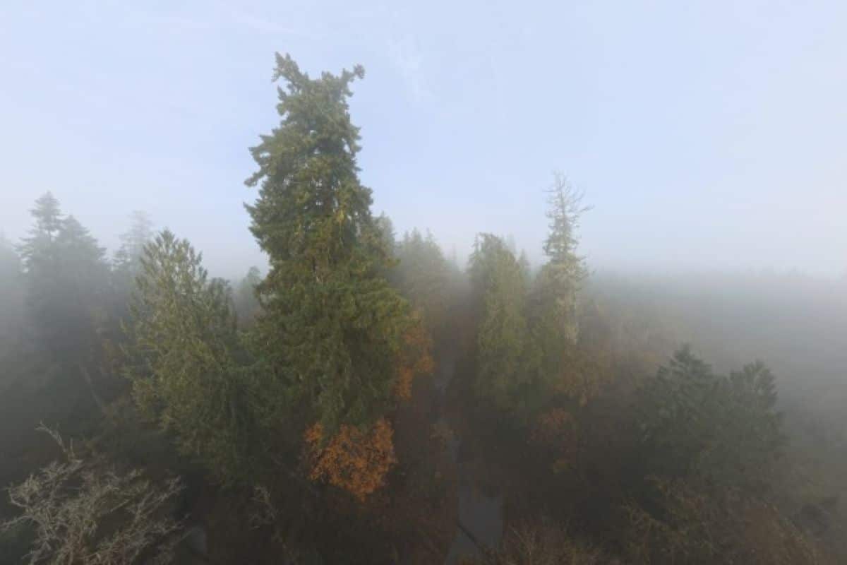 Recensione Antigravity A1: Il drone 8K a 360° che ha cambiato il mio modo di vedere il cinema