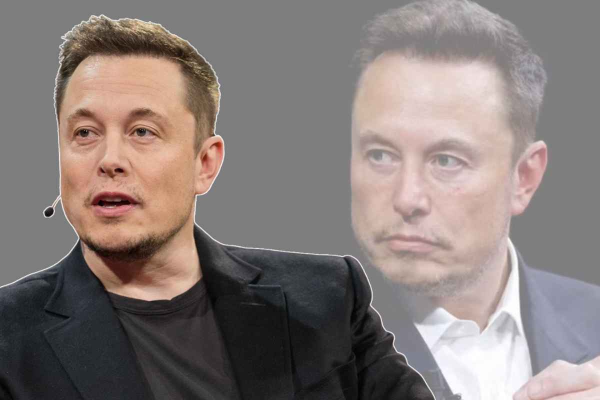 Le parole di Elon Musk