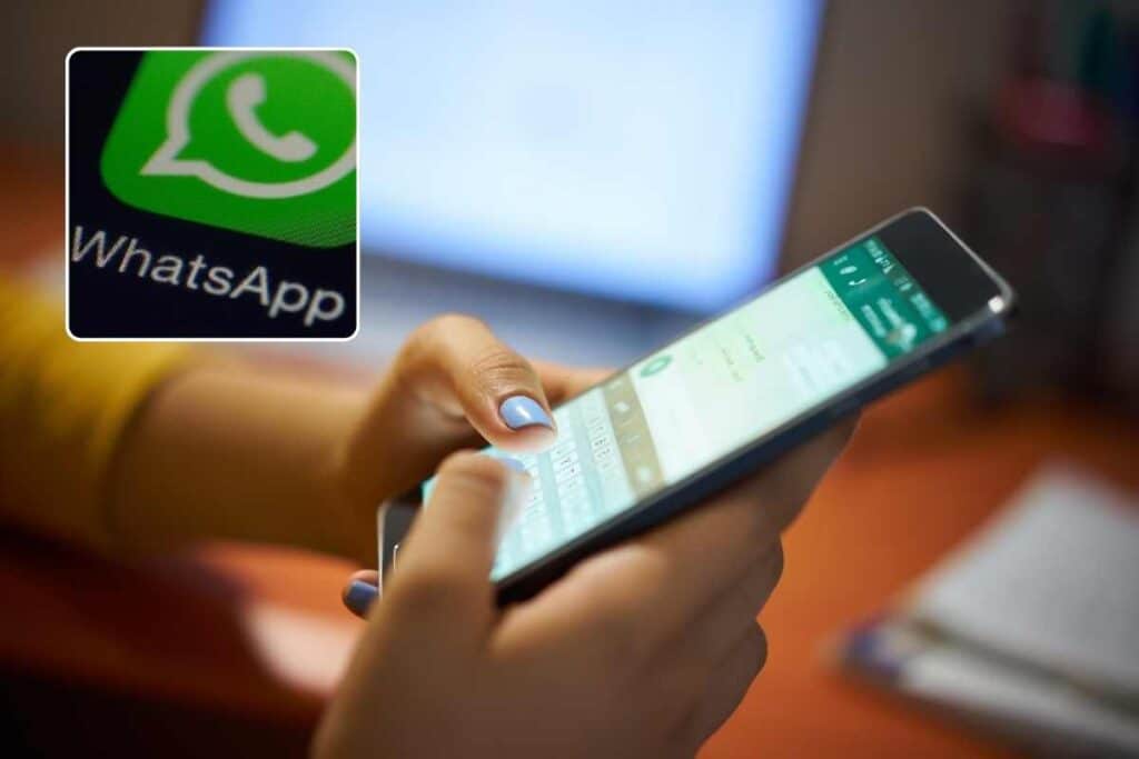 WhatsApp stravolto: se vedi questo cerchietto colorato in alto non cliccare, ecco a cosa serve veramente