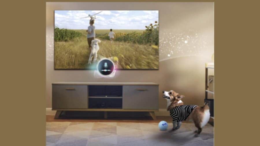 Pat care (www.mistergadget.it) 2026 03