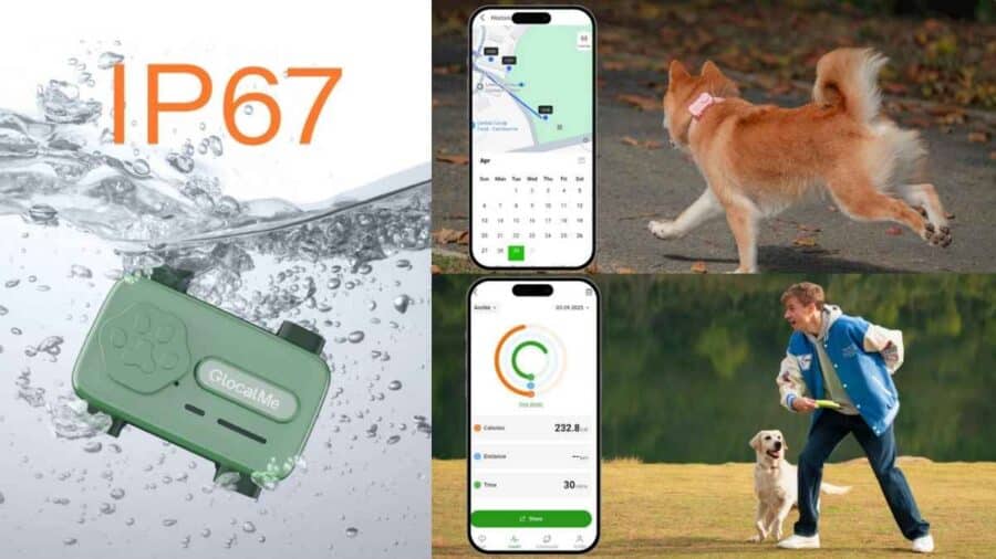 PetPhone GlocalMe functions
