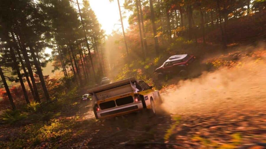 Gara off-road tra vetture da rally in una foresta illuminata dalla luce del tramonto, con polvere e foglie sollevate lungo il percorso.