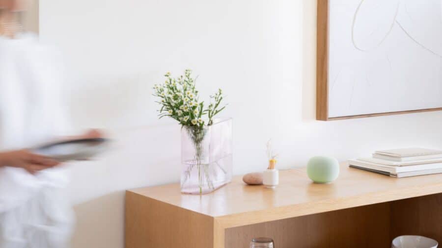 Il Google Home Speaker viene fornito con Gemini for Home