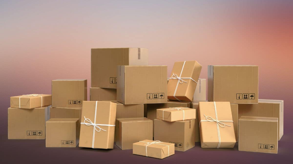 Hai comprato su Temu o AliExpress Attenzione alla nuova tassa di 3€