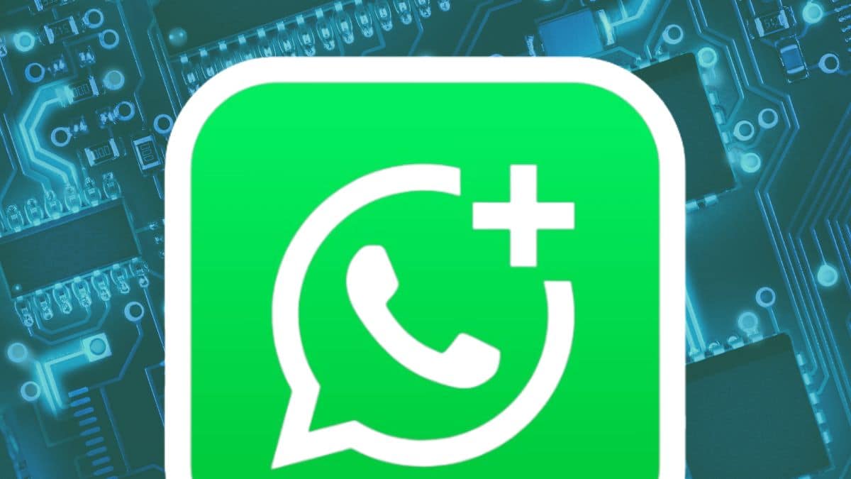 WhatsApp Business, si possono usare due account