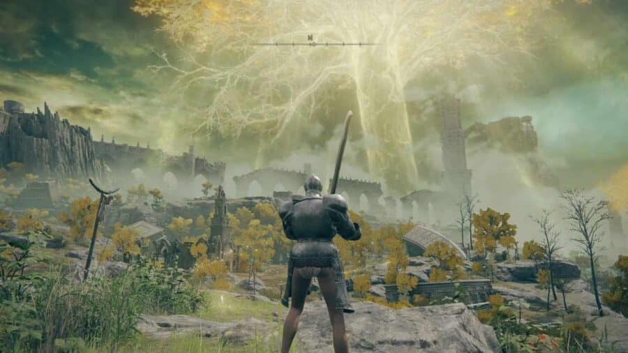 Schermata di gioco di Elden Ring su Nintendo Switch 2 con un cavaliere visto di spalle che ammira l'Albero Madre dorato che svetta luminoso tra rovine e colline nebbiose di Sepolcride.